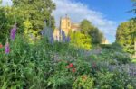 Sherborne Castle Special Reserve 2017 (6 Bottles) Sherborne, Dorset, England - Image 6