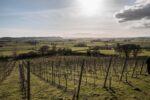 Smith and Evans Trilogy One Multi Vintage (6 Bottles) Langport, Somerset, England - Image 5