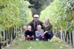 Tuffon Hall Pinot Gris 2023 (6 Bottles) Halstead, Essex, England - Image 6
