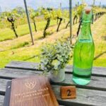 Welcombe Hills a Rosé by any other name 2023 (6 Bottles) Stratford-upon-Avon, Warwickshire, England - Image 6