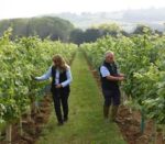 Whitehall Pinot Gris 2021 (6 Bottles) Chippenham, Wiltshire, England - Image 9