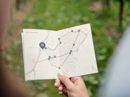 Winklestone Vineyard Organic Bacchus 2023 (6 Bottles) Uckfield, East Sussex, England - Image 7