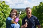 Yotes Court 'Hands and Heels' Pinot Blanc 2021 (6 Bottles) Maidstone, Kent, England - Image 9