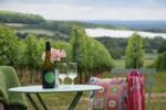 Yotes Court 'Hands and Heels' Pinot Blanc 2021 (6 Bottles) Maidstone, Kent, England - Image 5