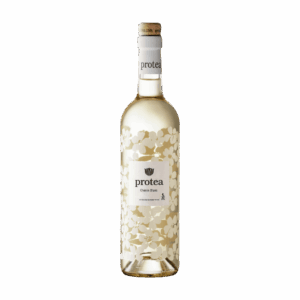 Anthonij Rupert Wyne Protea Chenin Blanc 2024 (6 Bottles) Franschhoek, South Africa