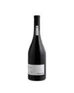 La Cantina Pizzolato Pinot Nero DOC Venezia 2023 (6 Bottles) Veneto, Italy