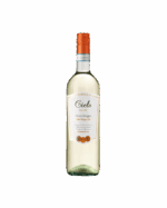 Cielo Pinot Grigio 2024 (6 Bottles) Delle Venezie, Italy