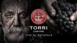 Torri Cantine 4 20 Pecorino d'Abruzzo (6 Bottles) Abruzzo, Italy - Image 3