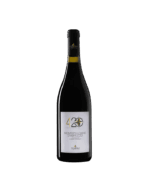 Torri Cantine 4 20 Montepulciano d'Abruzzo (6 Bottles) Abruzzo, Italy
