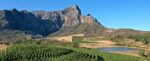 Anthonij Rupert Wyne Optima 2021 (6 Bottles) Western Cape, South Africa - Image 10
