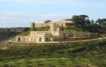 Il Folle Grillo 2024 (6 Bottles) Sicily, Italy - Image 3