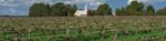 Glaetzer Wallace Red Blend 2021 (6 Bottles) Barossa Valley, South Australia - Image 3