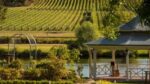 Josef Chromy Estate Pinot Noir 2023 (6 Bottles) Tasmania, Australia - Image 6