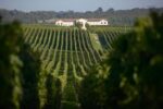Château Le Pey, Médoc 2018 (6 Bottles) Bordeaux, France - Image 7