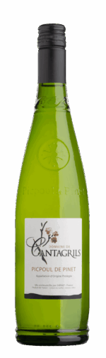 Domaine de Cantagrils Picpoul de Pinet 2024 (6 Bottles) Languedoc-Roussillon, France