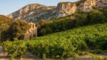 Domaine de Cantagrils Picpoul de Pinet 2024 (6 Bottles) Languedoc-Roussillon, France - Image 7