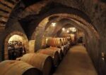 Bodegas Frontonio Botijo Rojo 2023 (6 Bottles) Aragon, Spain - Image 4