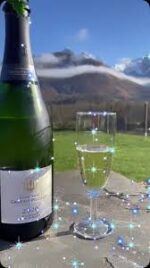 Champagne Gratiot-Pillière Brut Tradition NV (6 Bottles) Champagne, France - Image 5