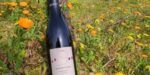Jérémie Huchet Chapeau Melon Rouge 2024 (6 Bottles) Loire, France - Image 6