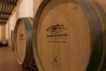 Dominio de Punctum Pomelado Orange 2024 (6 Bottles) Castilla La Mancha, Spain - Image 7