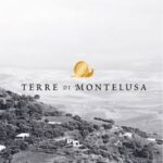 Terre Di Montelusa Primitivo 2024 (6 Bottles) Puglia, Italy - Image 7