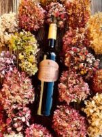 Terre Di Montelusa Primitivo 2024 (6 Bottles) Puglia, Italy - Image 10
