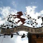 Weingut Von Buhl Bone Dry Riesling 2024 (6 Bottles) Pfalz, Germany - Image 7