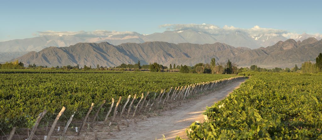 Kaiken Ultra Malbec (6 Bottles) Mendoza, Argentina - Image 7