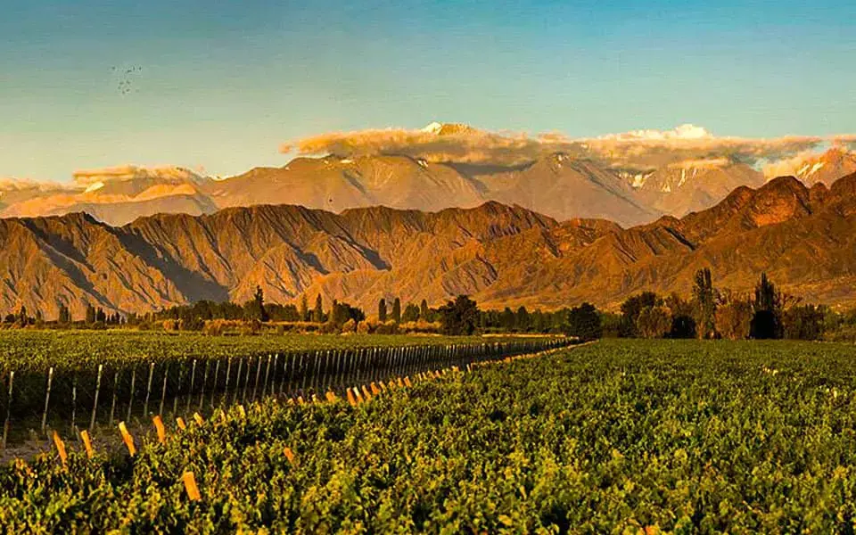 Kaiken Ultra Malbec (6 Bottles) Mendoza, Argentina - Image 3