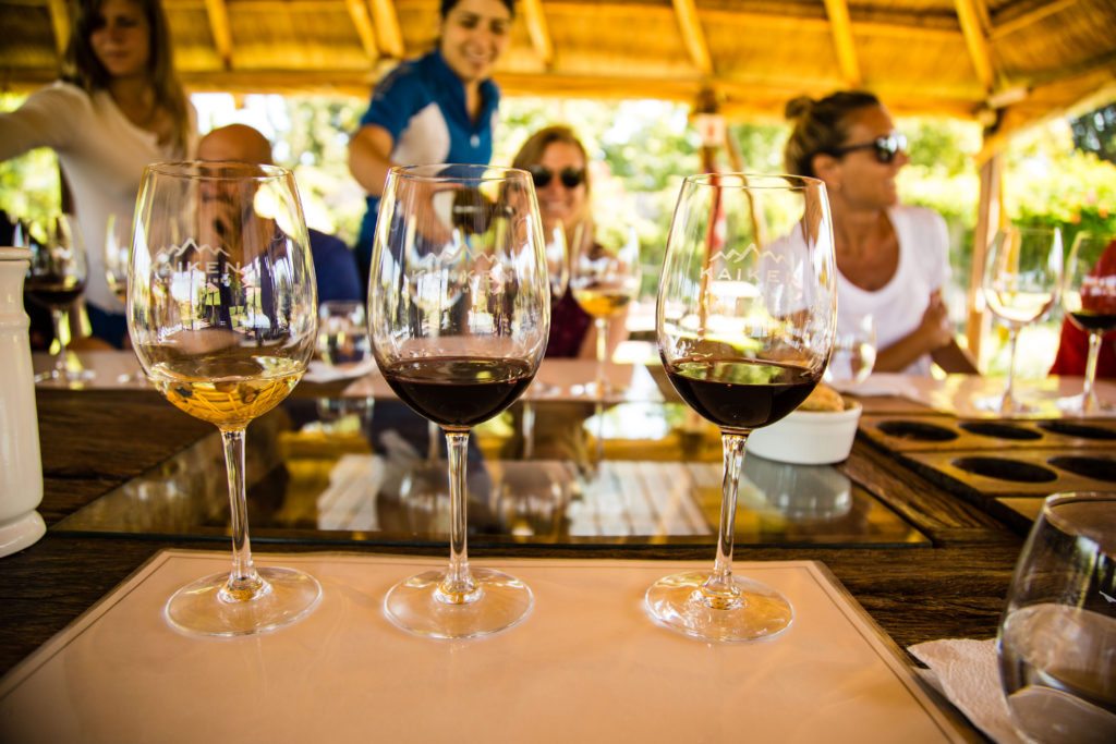 Kaiken Ultra Malbec (6 Bottles) Mendoza, Argentina - Image 8